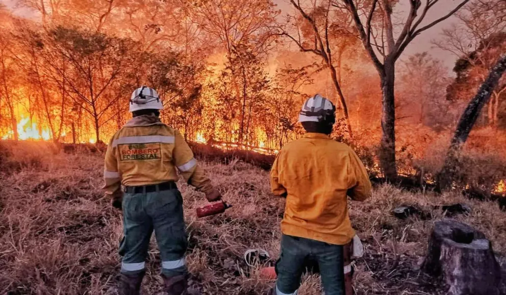 Bomberos se enfrentan al fuego en el departamento de Santa Cruz. Foto: Asuntos Centrales