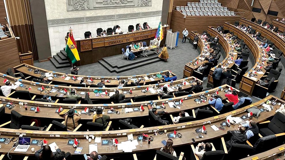 La Cámara Baja de Bolivia apenas sesionó tres veces en dos meses; legisladores tienen sueldo de Bs. 22 mil - Periódico La Patria