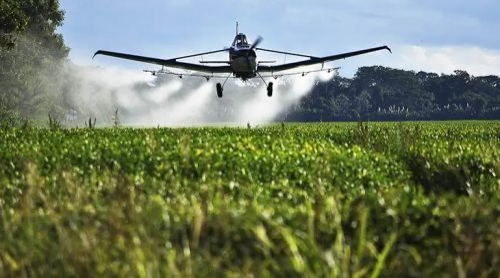 Plantaciones de soya en Santa Cruz, las exportaciones de los derivados descendieron el año pasado. Foto: Anapo