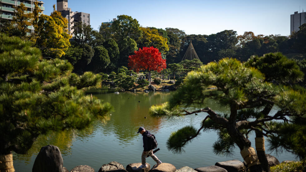 Un hombre camina por el jardín de Kiyosumi en un día soleado, el 3 de diciembre de 2024 en Tokio