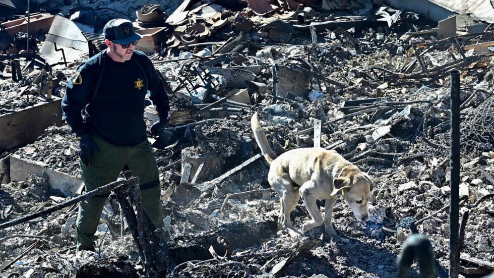 Un perro rastreador de cadáveres olfatea entre los escombros de las propiedades frente al mar destruidas por el incendio de Palisades a lo largo de la autopista de la costa del Pacífico en Malibú, California