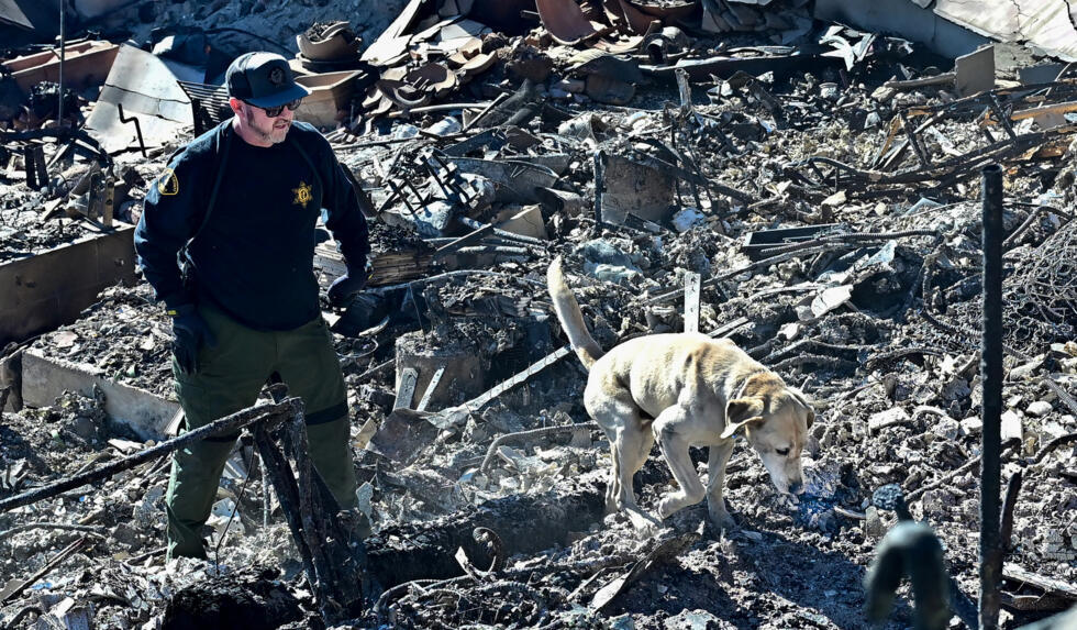 Un rescatista con un perro rastreador recorren los escombros tras los incendios en Palisades, en la Coast Highway en Malibú, California, el 12 de enero de 2025