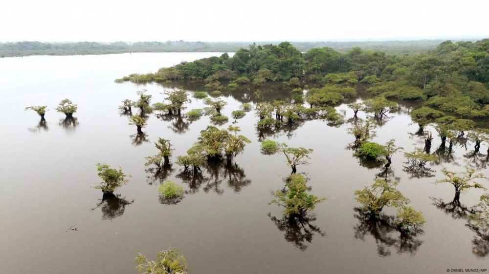 Vista aérea de la Laguna Grande en la selva amazónica protegida de Cuyabeno, Ecuador, tomada el 26 de marzo de 2024.