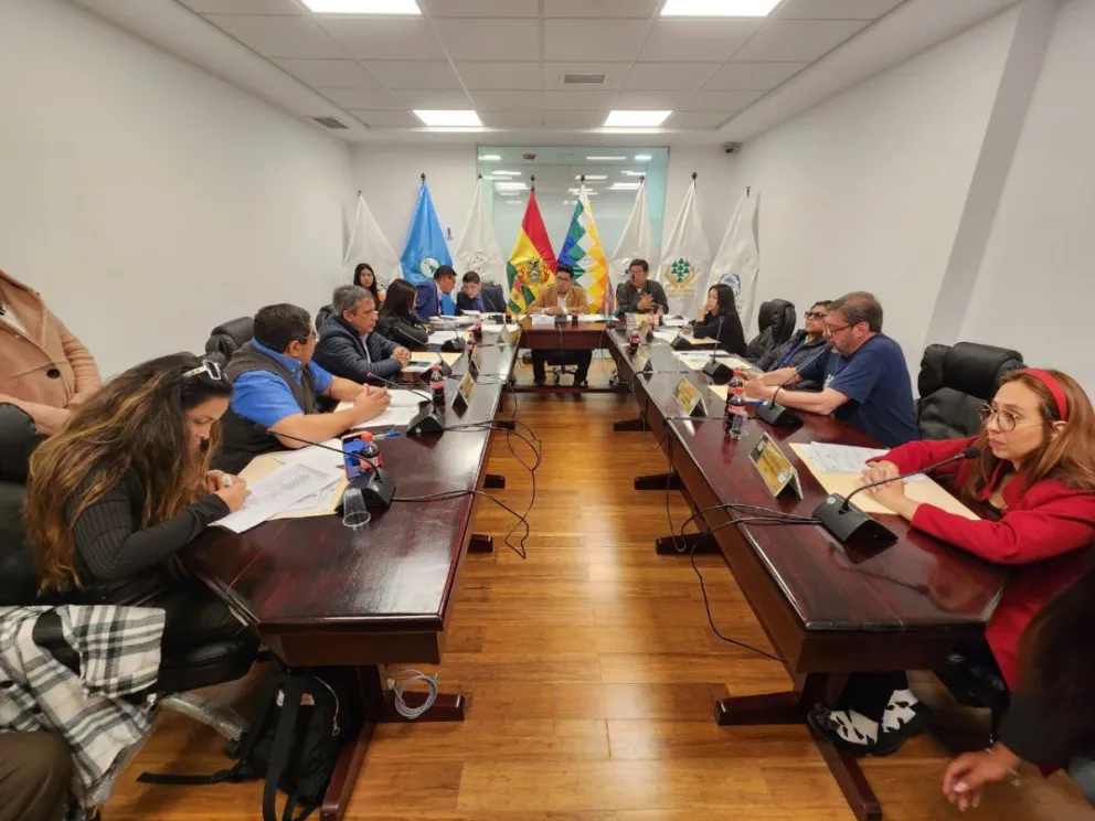 La primera sesión de la Comisión de Representantes Ante Organismos Parlamentarios Supraestatales. Foto: Diputados Bolivia