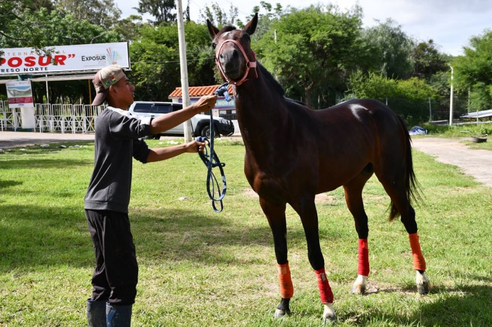 Alistan la tercera versión de las Carreras Cuadreras 