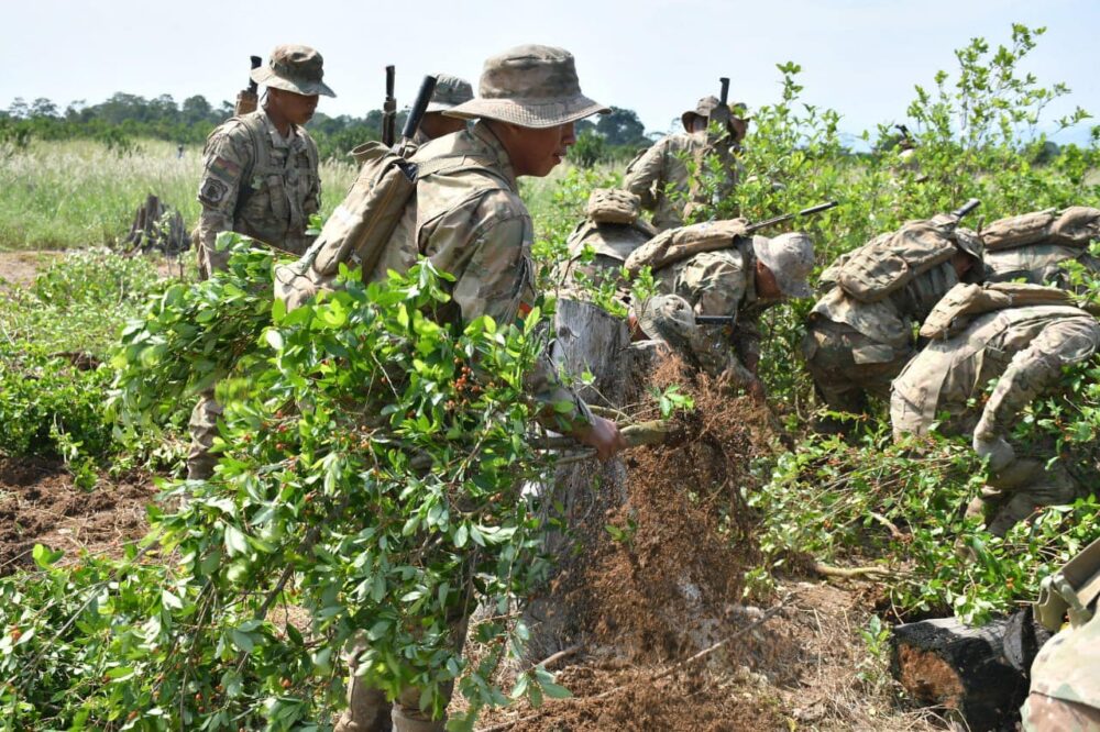 Erradicación de cultivos de coca en El Choré. / Foto VDSYSC