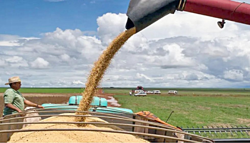 La cosecha de soya en Santa Cruz. / Foto: Correo del Sur.