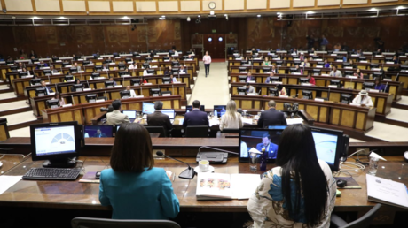 ¿Otros 14 diputados? La razón de un curioso cambio en el Parlamento ecuatoriano