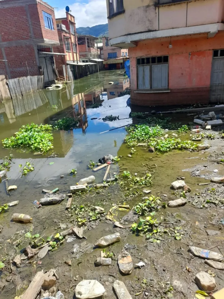 La población de Tipuani convive con las aguas servidas desde hace 6 semanas. Foto: Marco Barrido