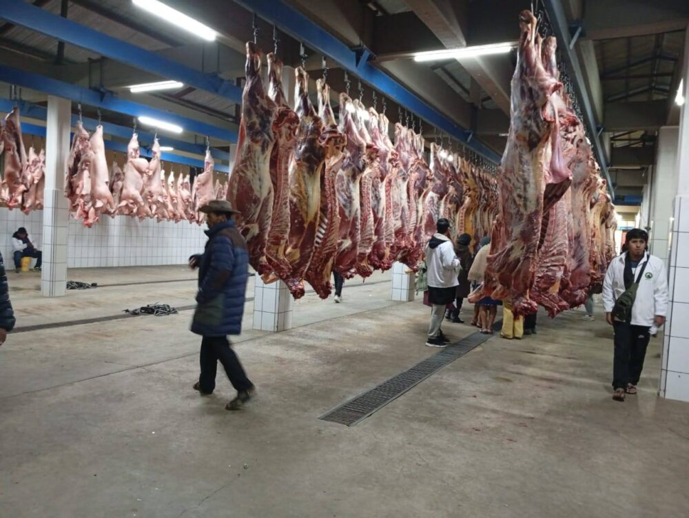 Viceministra Alcón afirma que continuará la exportación de carne una vez se regularice su precio y abastecimiento