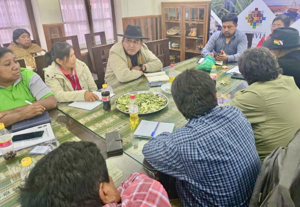 Impulsan construcción de puente y Centro de Producción de Café en Yanacachi