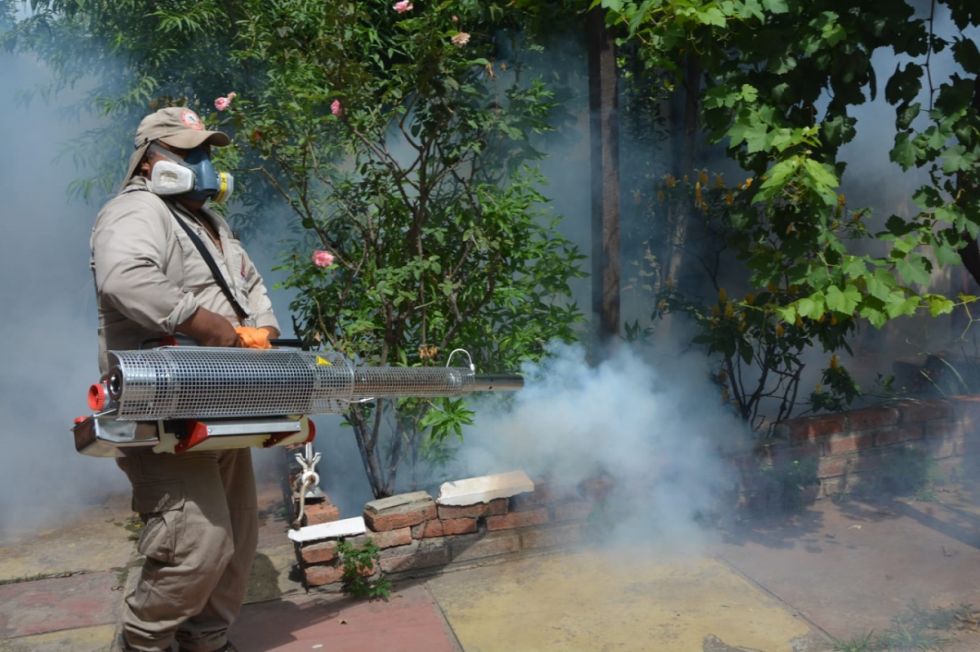 Bermejo coordina con Argentina lucha contra el dengue