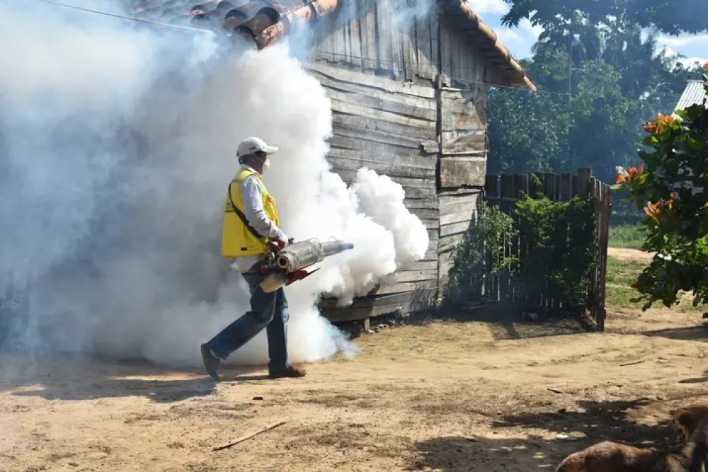 Dengue en ascenso, confirman 19 casos en San Ignacio y piden eliminar criaderos