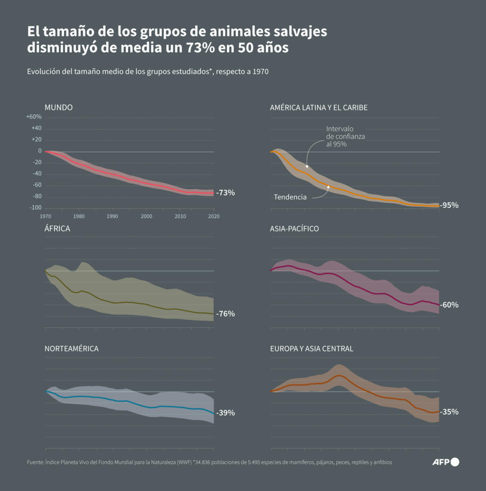 La evolución del Índice Planeta Vivo, establecido por el Fondo Mundial para la Naturaleza (WWF, en inglés) entre 1970 y 2020 por región del mundo, en porcentaje de la evolución del tamaño de los grupos estudiados