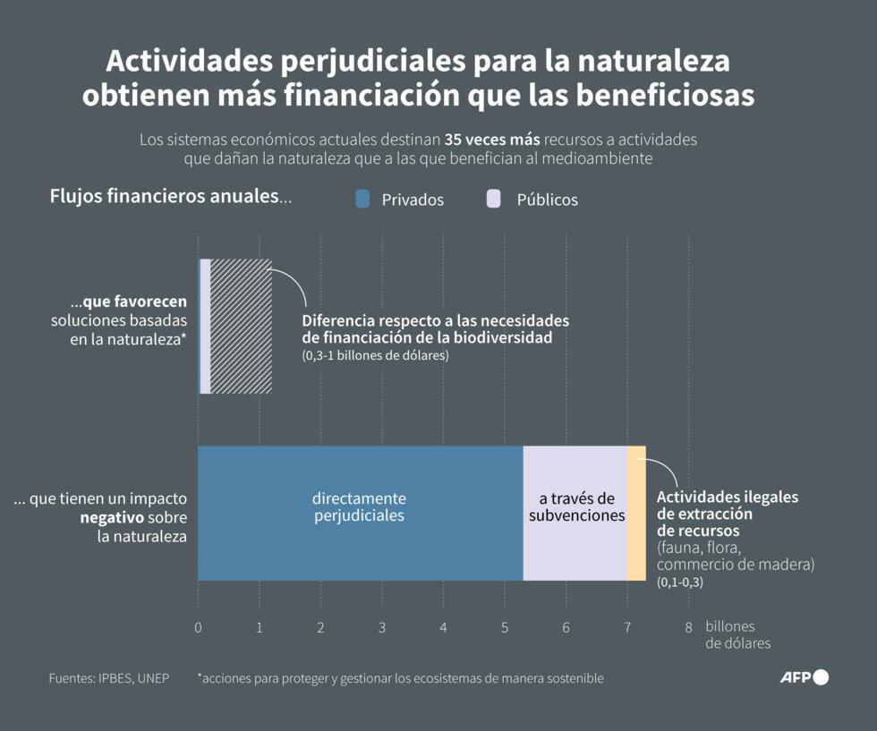 Los flujos financieros anuales beneficiosos y perjudiciales para la naturaleza, según datos publicados por la IPBES y el UNEP