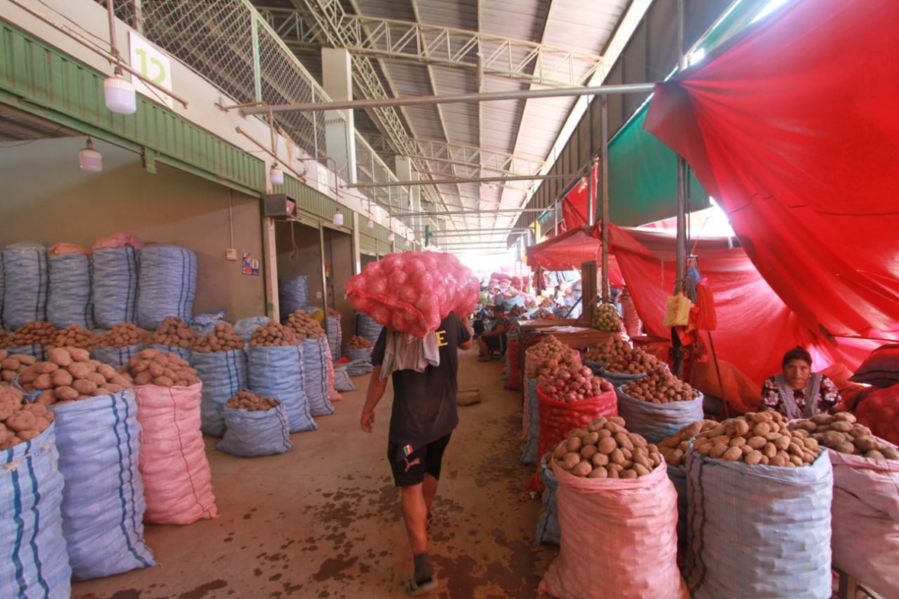 Nuevo Mercado Abasto podría quedar sin energía eléctrica. Foto. Ricardo Montero