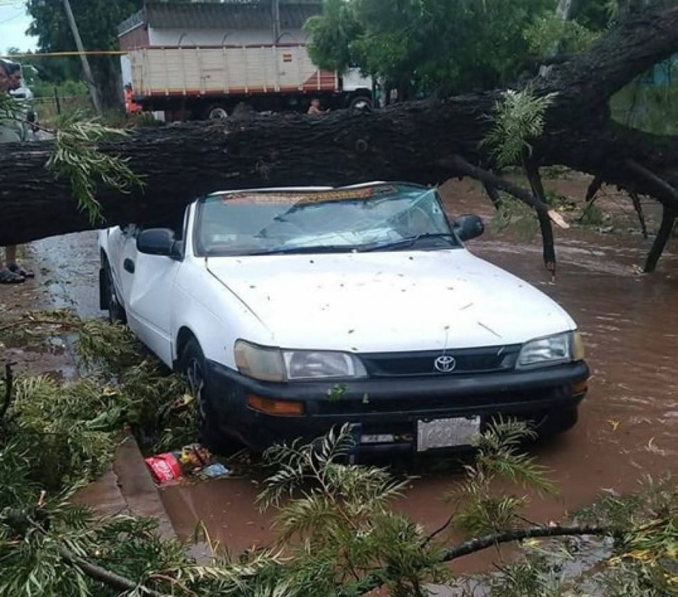 Tras ola de calor, intensa lluvia causó estragos en Yacuiba 