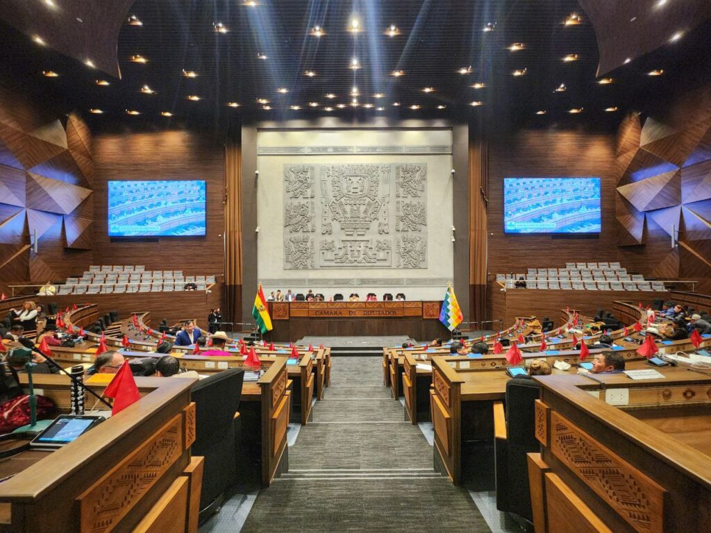 Una sesión de la Asamblea Legislativa Plurinacional. / Foto: Diputados.