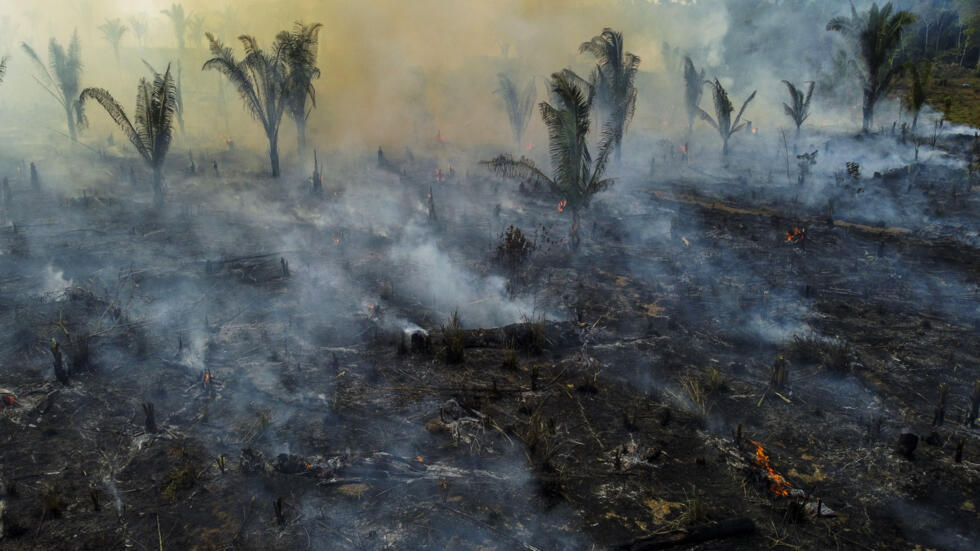 Un área quemada de la selva amazónica en Apuí, Brasil, en una imagen del 21 de septiembre de 2022