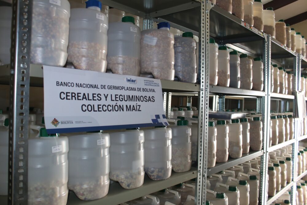 Banco Nacional de Germoplasma de Cereales y Leguminosas en Cochabamba. Foto: Iniaf