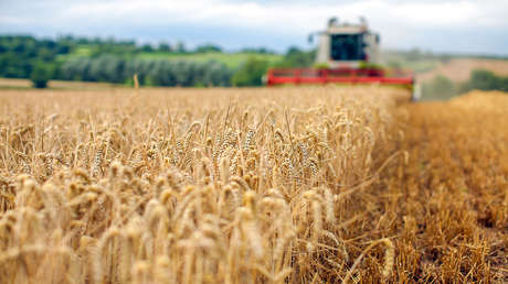 Alertan de seria amenaza para las reservas mundiales de alimentos