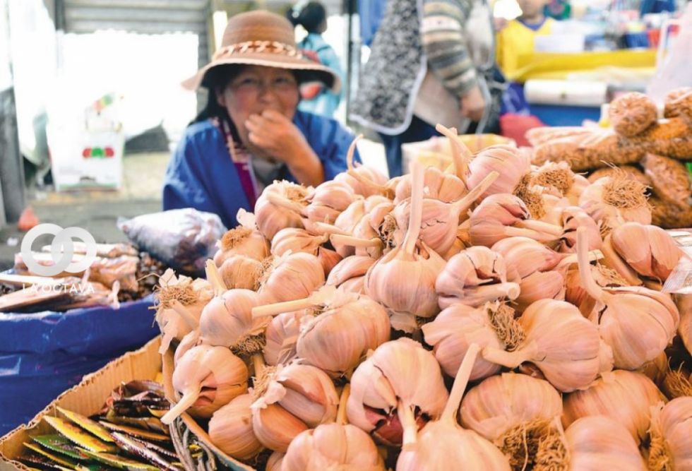 La planta procesadora de ajo y cebolla tiene 76% de avance