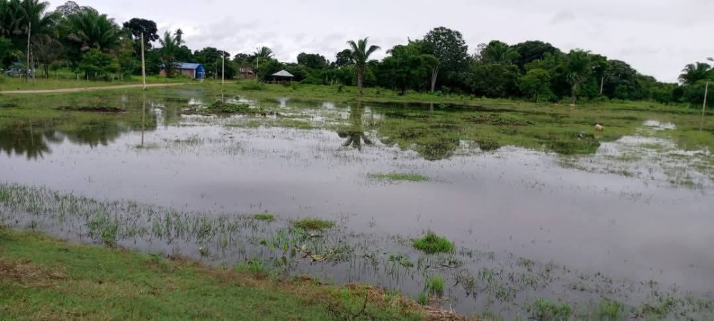 Cultivos bajo el agua: Desborde de ríos afecta a comunidades indígenas de Moxos