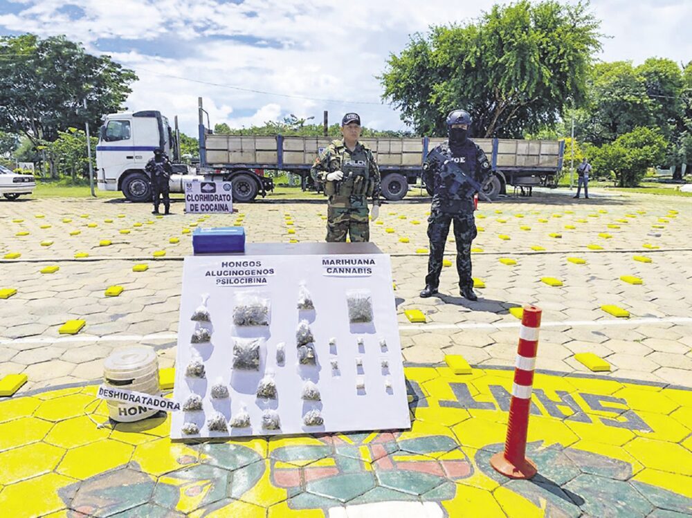 El hongo alucinógeno iba a ser vendido en la zona del Urubó/Foto: Min. de Gobierno