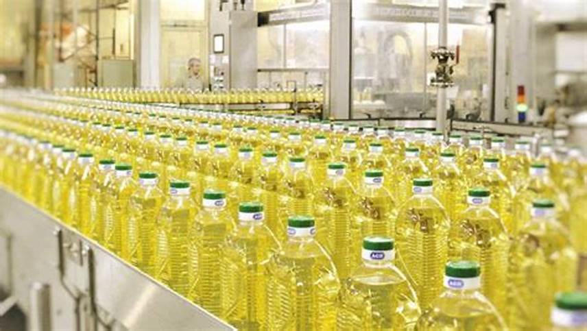 Foto referencial de una fábrica de aceite. / Foto: Agrofy