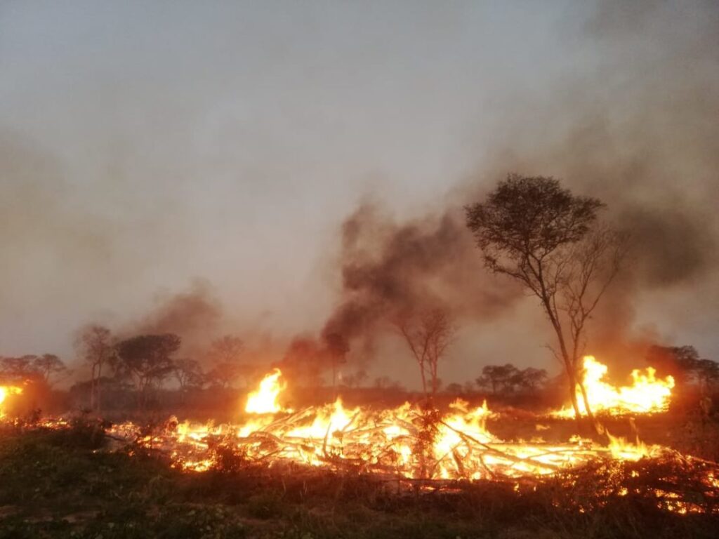 Chaqueos en una región de Santa Cruz. / Foto: La Región.