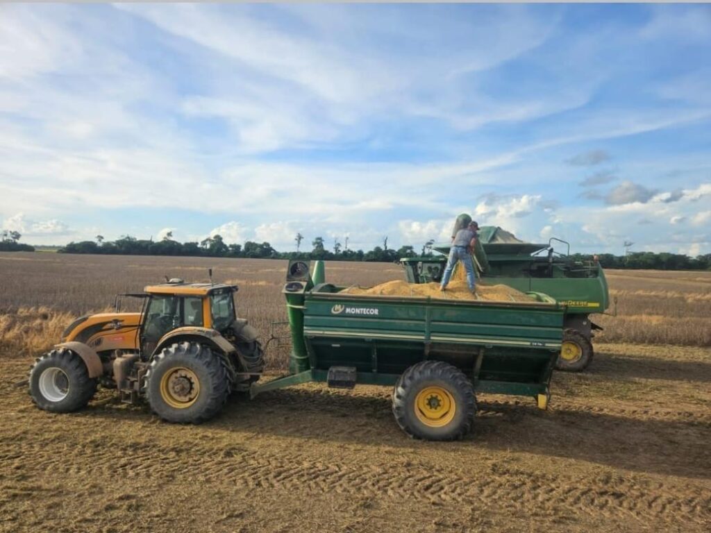 Producción de soya en el oriente de Bolivia. / Foto ANAPO.