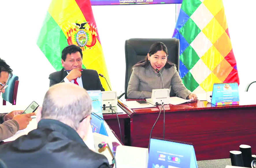 En la foto, Olivia Guachalla, presidenta de la Comisión de Constitución