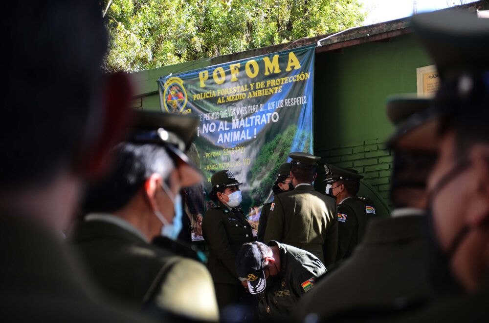 Pofoma insta a fortalecer la justicia ambiental ante liberación de implicados en tráfico de fauna silvestre