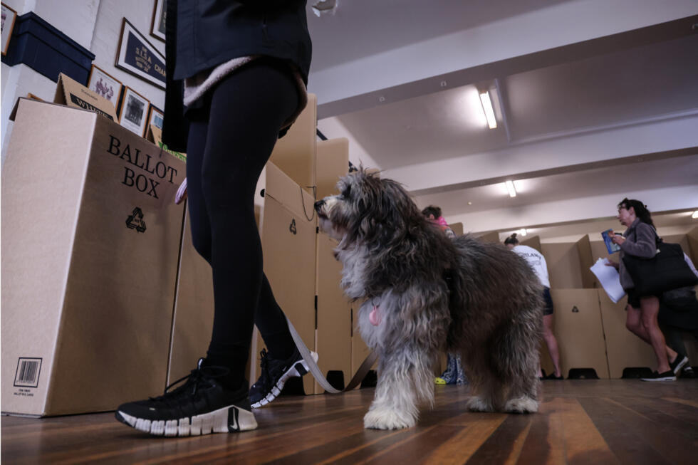 Un perro camina junto a su dueña en el centro electoral de la playa de Bondi, en Sídney, el 3 de mayo de 2025
