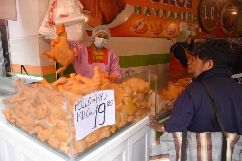 pollo