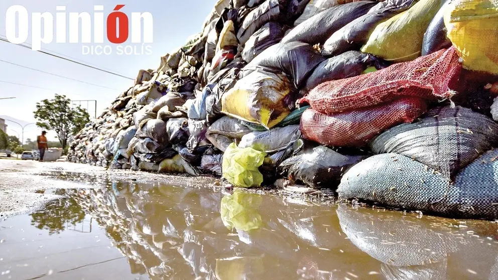 Gusanos proliferan en los lixiviados generados por la basura. / DICO SOLÍS