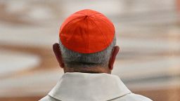 Esta fotografía muestra a un cardenal con un calabacín rojo como solideo durante la misa del Octavo Novemdiale, después del funeral del papa y antes del cónclave, en la Basílica de San Pedro en el Vaticano, el 3 de mayo de 2025.