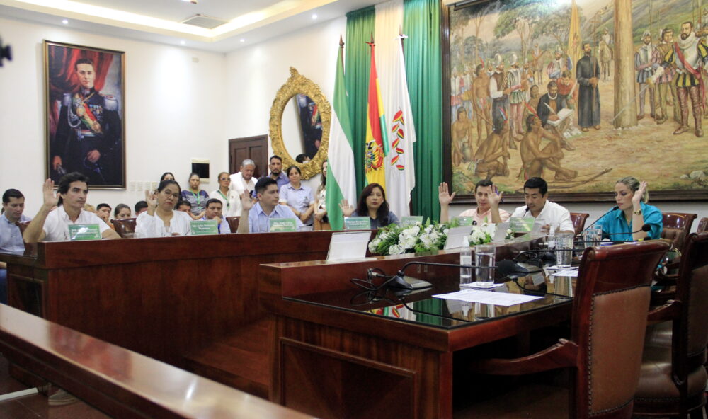 concejo elección de directiva