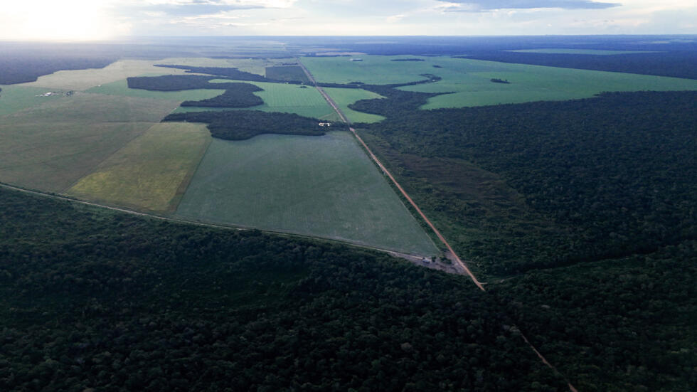  Vista aérea de los límites del territorio indígena Capoto/Jarina en el estado de Mato Grosso, Brasil, tomada el 22 de marzo de 2025.