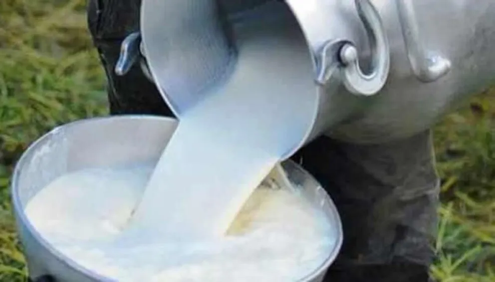 El precio de la leche al consumidor sube de Bs 6 a Bs 6.80 desde este mes. Foto: ABI