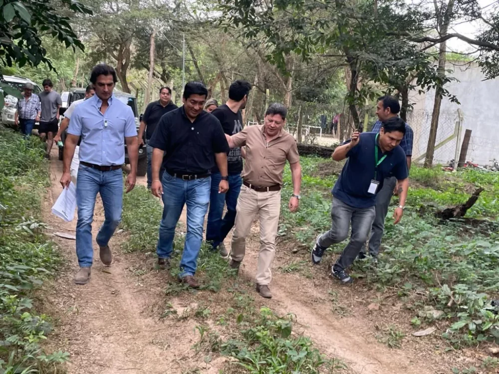 Concejales constataron la tala de árboles en el Cordón Ecológico.