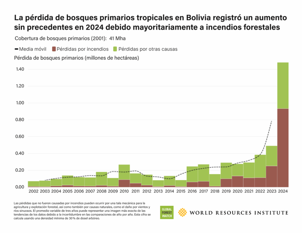 Bolivia se acerca al primer lugar en el podio mundial de la deforestación