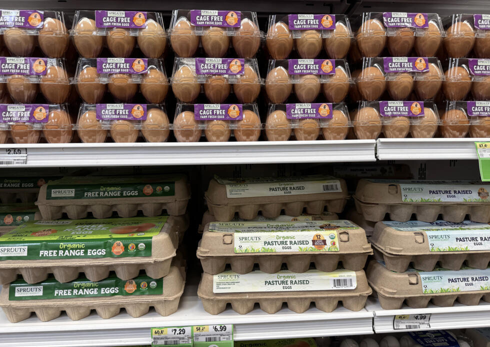 El precio de los huevos se disparó en numerosos países después de que hubiera que sacrificar de forma masiva a multitud de aves de corral a causa de la gripe aviar