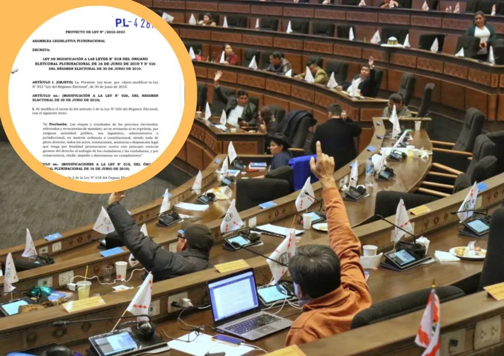 El proyecto de norma espera ser tratada en Senado. Fotos: Cámara de Diputados