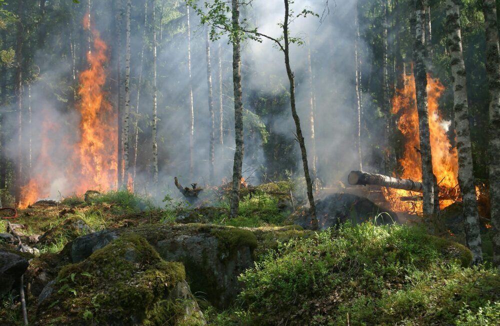 Bolivia enfrenta su peor crisis ambiental desde 2019: Incendios sin control