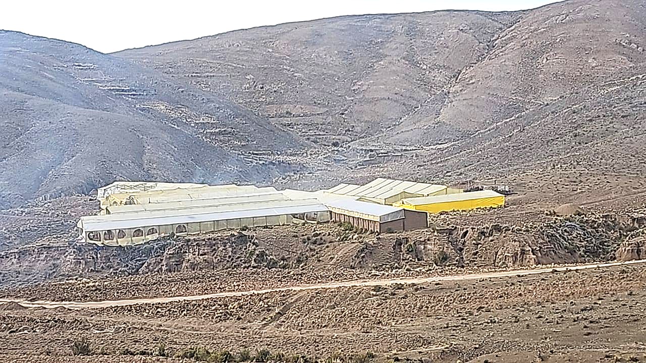 Los viveros construidos en una serranía de Lagunillas. / Foto: Min. Gobierno.