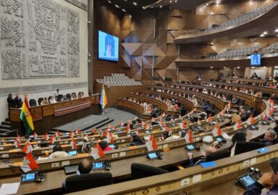 Una sesión del pleno del Legislativo. / Foto: Vicepresidencia.