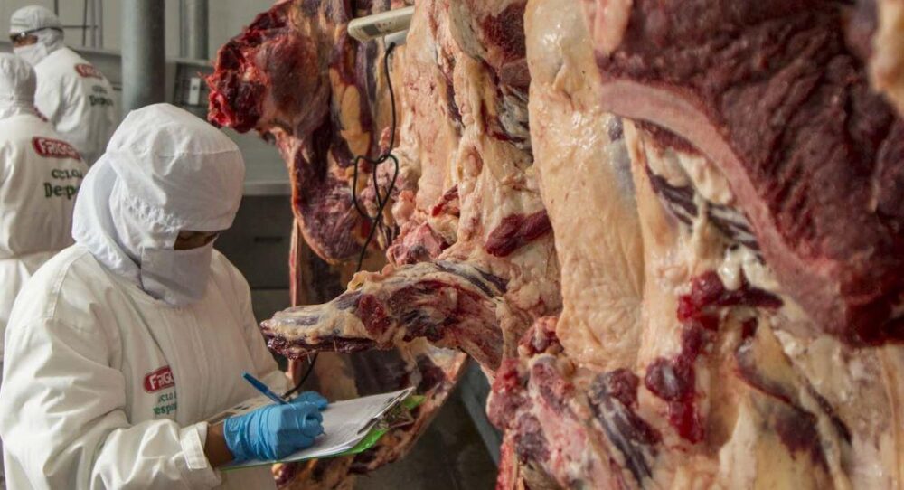 carne