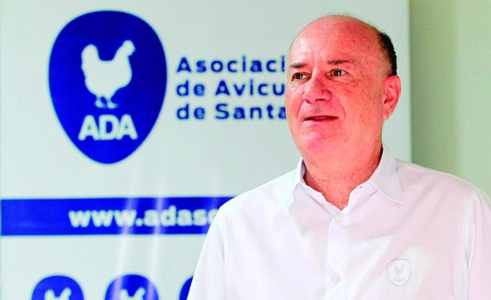 Bloqueos ponen en riesgo al sector avícola y causan fuertes pérdidas económicas a pequeños productores