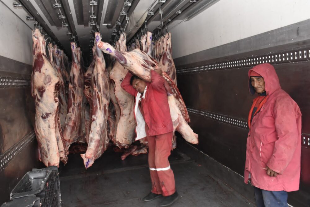 Ganaderos adicionarán 1.500 cabezas de res mensualmente a la oferta para el mercado interno
